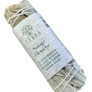 Sauge Blanche de Californie – Fagot 10 cm (25-30g)