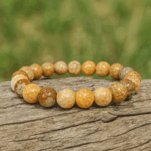 Bracelet Corail Fossile (USA) – perles 8 mm