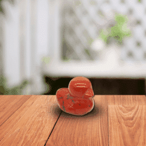 Canard en Jaspe Rouge – Vitalité & Courage