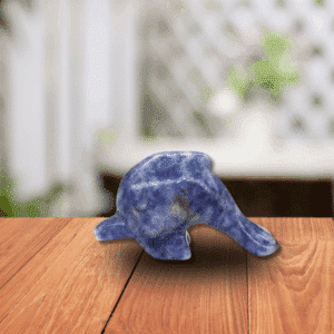 Dauphin en Jaspe Bleu Tacheté – Harmonie & Communication