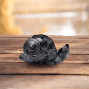 Escargot en “Pierre Flamme” – Transformation & Force intérieure