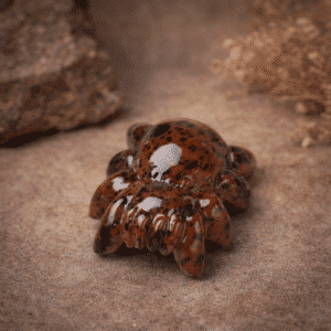 Araignée en Obsidienne Acajou – Protection & Force intérieure