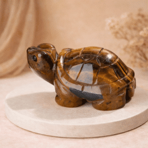 Tortue en œil de tigre – Protection & stabilité