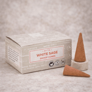 SATYA - ENCENS CÔNES