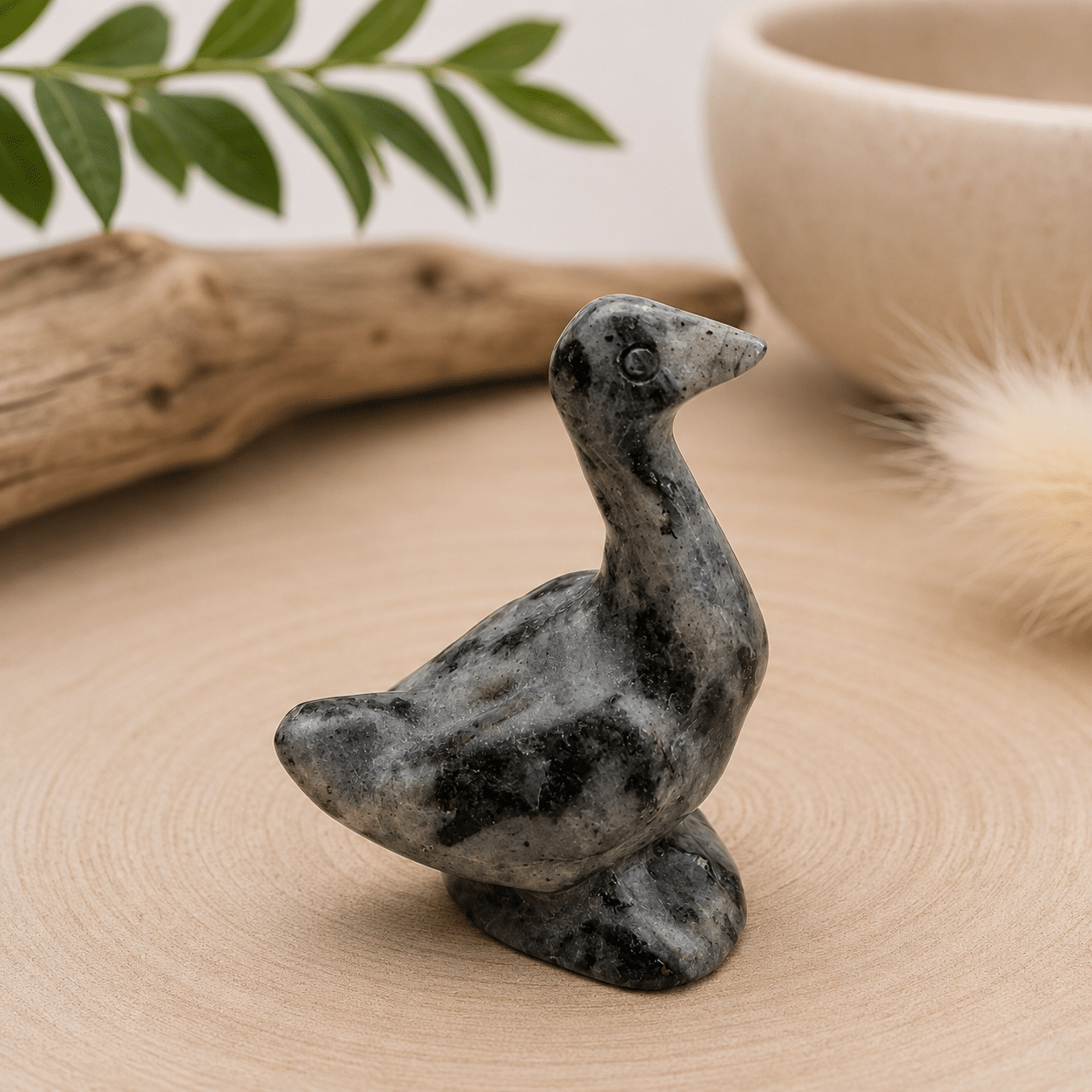 Oie en Larvikite – Protection & Renouveau